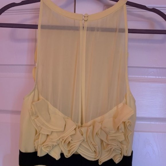 BCBGMaxAzria dress - Picture 9 of 10